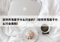 软件开发属于什么行业的?（软件开发属于什么行业类别）