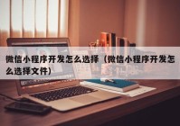 微信小程序开发怎么选择（微信小程序开发怎么选择文件）