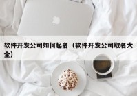 软件开发公司如何起名（软件开发公司取名大全）