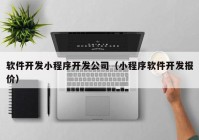 软件开发小程序开发公司（小程序软件开发报价）
