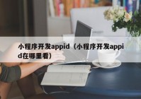 小程序开发appid（小程序开发appid在哪里看）