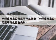 小程序开发公司属于什么行业（小程序开发公司属于什么行业类别）