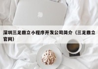 深圳三足鼎立小程序开发公司简介（三足鼎立官网）