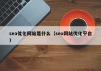 seo优化网站是什么（seo网站优化平台）