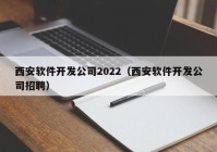 西安软件开发公司2022（西安软件开发公司招聘）