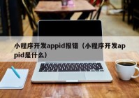 小程序开发appid报错（小程序开发appid是什么）