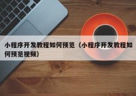 小程序开发教程如何预览（小程序开发教程如何预览视频）